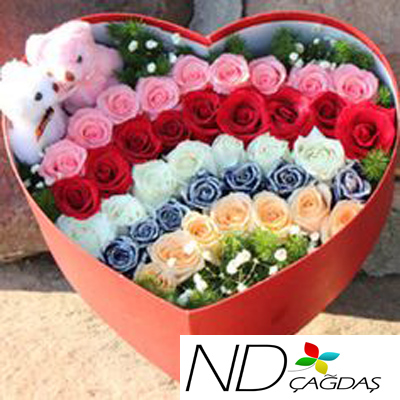 KALP KUTUDA RENKL� G�LLER