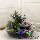 TERARYUM FIRSAT �R�N�M�Z