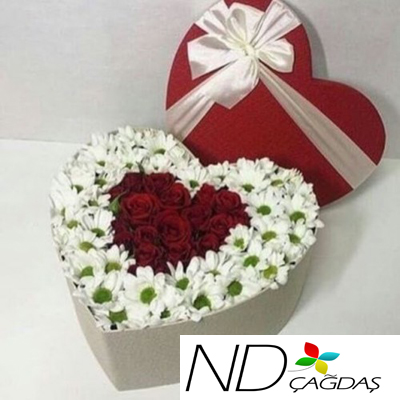 KALP KUTUDA PAPATYA VE G�L