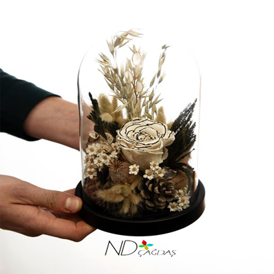 fanusta solmayan g�l